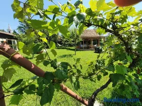 Valchid Guest House - Image 4