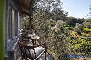 Margaritis's Treehouse - Image 2