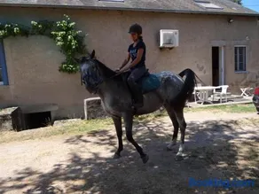 Tout Crin - Image 1