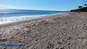 Estrella Del Mar - Image 2