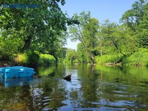 Wiosłem w Hamaku Domek nad Wkrą - Image 3