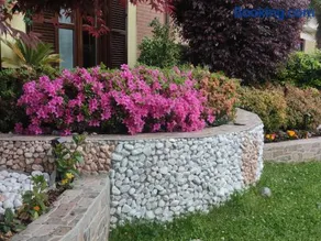 New Home - Image 3