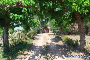 Mas Estivill-Modernist country house near Salou-Port Aventura - Image 4