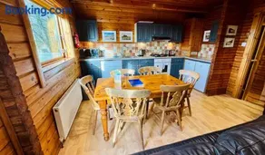 Tor View Lodge with Hot Tub & Sauna - Spa Resort - South Devon - Image 3