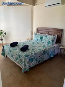 Buena Vista Coco - Image 3