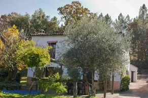 Los Cascos - Image 1
