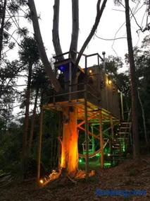 Cabana da Árvore e Cabana Retrô - ForestPlace - Image 3