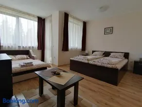 Borovets Gardens Studio D36 - Image 3