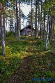 Vacation Home Tulikallio - Image 2