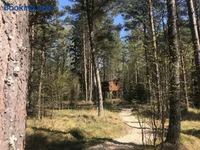 Tahkuna tree-house - Image 4