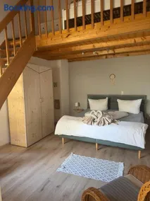 Eleven Apartments - Image 3