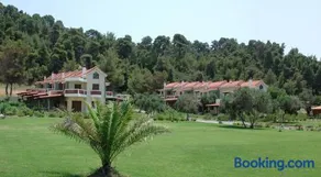 Amaryllis Summer Maisonettes - Image 3