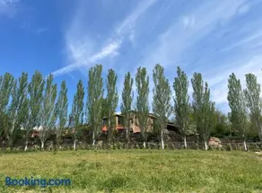 Touristic Ballonga Horses - Image 2