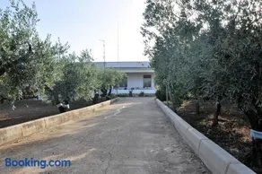 Santa Teresa - Image 3