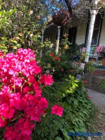 Sinnamons Cottage - Image 4