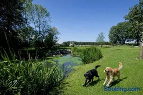 Lake View - Flensburger Förde - Image 4
