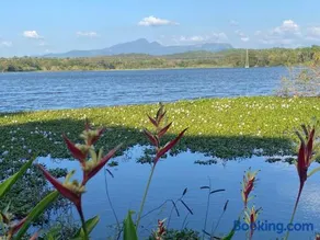 Lake Entrance - Image 1