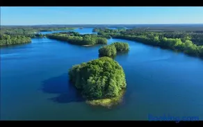 Domki na skraju lasu - Image 1