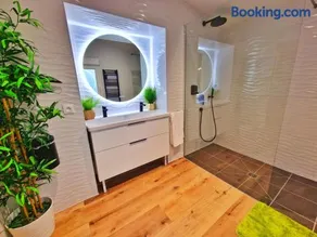 JUNGLE SPA-4 Pers-Jacuzzi-Parking-Jardin-Clim-Colmar - Image 2