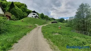 Zăvoarele - Image 3