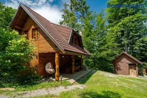 Forest Amerika - Ivcakova koliba - Image 1