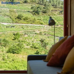 Casa do Lecer - Image 3