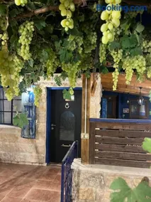 לומינוס הגפן - Image 1