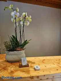 Lärchen Lodge - Image 4