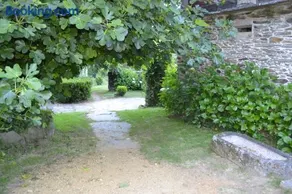 A Pena de Augasantas - Image 5