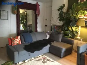 Hannah 1 - Image 2