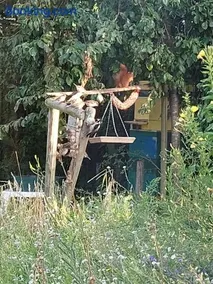 Logeerruimte in gerenoveerde boerderij in Wachtum - Image 1