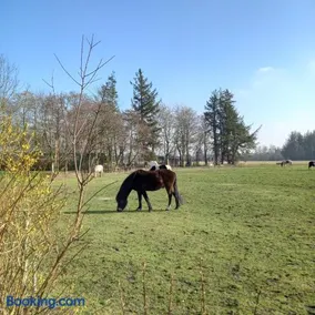 Urlaub zwischen Nord- und Ostsee - Image 1