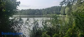 Seeidyll - Image 3