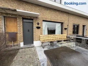 Schorrebloem - Image 2