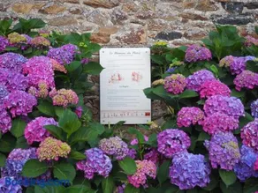La Longère - Image 2