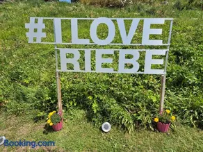 Riebe 331 - Image 2