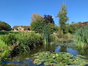 The Quackery - Image 2