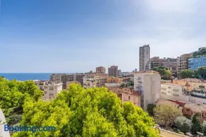 Seaview, Pool and Gym! In Monaco - Image 3