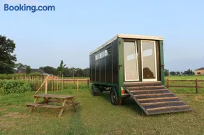 Slapen tussen de paarden - Image 1