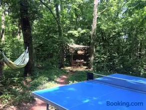 Cinke cottage, nest in nature - Image 1
