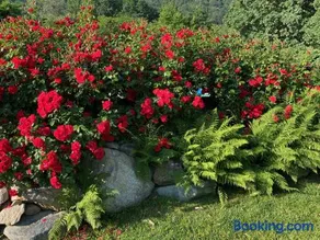 MyVilla B&B - Image 2