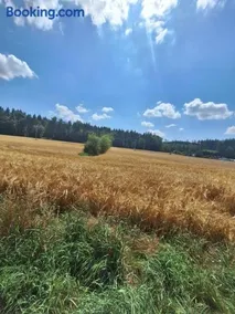 Chata v Jedovnicích u rybníka Olšovec - Image 2