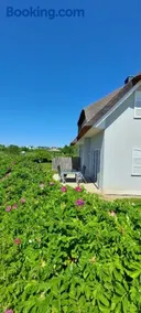 zwisch Boltenhagen und Pötenitz Ostseeurlaub bis 6 Pers "Alte Liebe"Haus B - Image 1