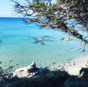 Villa Sardinia Seaview&SPApool - Image 3