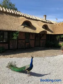 Cottage on unique farm - Image 2