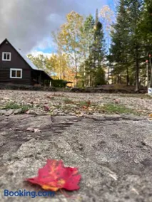 Chalet Le Merlot - Image 2