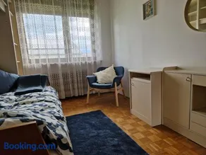GreenFamilyAppartment near Ljubljana - Image 1