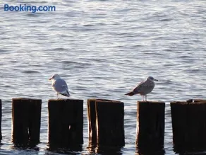 Ferienwohnungen Zum Anker _ Objekt - Image 4