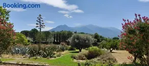Castell Rose - Image 3