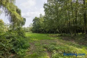 Secret garden - Image 3
